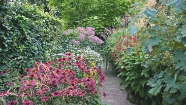 Beplantingsplan: 6 sterke planten voor een volle, langbloeiende border