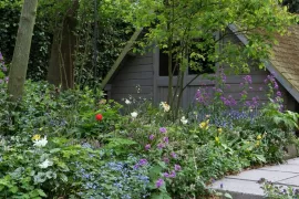 Beplantingsplan: 9 planten voor een border in droge schaduw