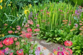 Beplantingsplan: maak van een vochtige plek een kleurrijke border