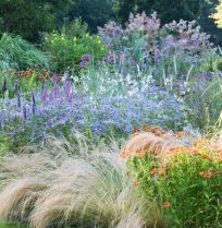 Beplantingsplan: een lichte, luchtige border met siergrassen