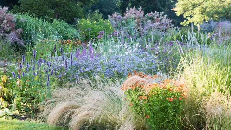 Afbeelding Beplantingsplan: een lichte, luchtige border met siergrassen