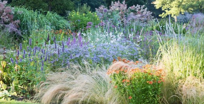Beplantingsplan: een lichte, luchtige border met siergrassen
