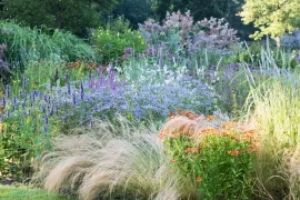 Beplantingsplan: een lichte, luchtige border met siergrassen