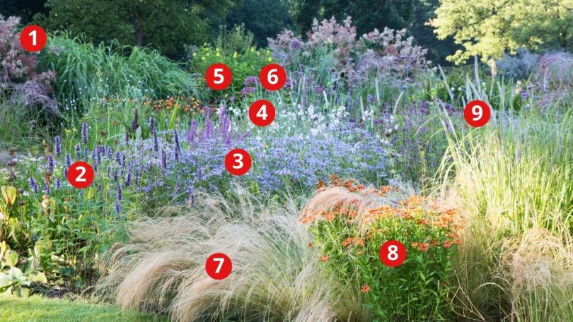 Beplantingsplan: een lichte, luchtige border met siergrassen
