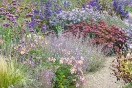 Beplantingsplan: deze 7 planten bloeien nog volop in oktober