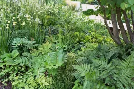 Beplantingsplan: 10 planten voor een groene schaduwborder