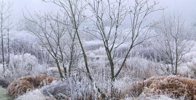 Beplantingsplan: een winterborder van Piet Oudolf