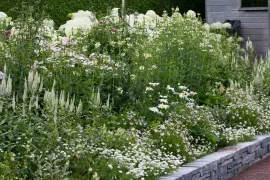 Beplantingsplan: zo bloeit een witte border van mei tot oktober