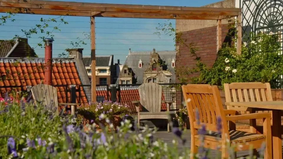Afbeelding De 8 beste planten voor je dakterras
