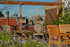 De 8 beste planten voor je dakterras