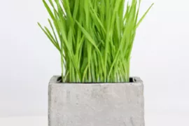 Vierkante plantenbak van beton