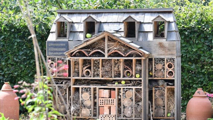 Meer bestuivers in de moestuin, maar zonder rommel: zo doe je dat