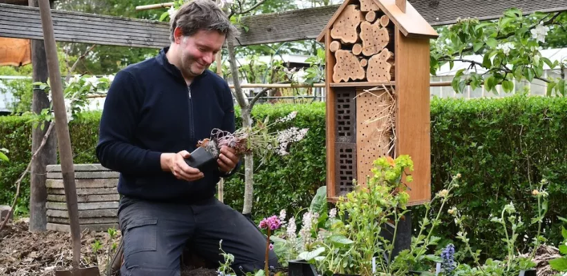 Meer bestuivers in de moestuin, maar zonder rommel: zo doe je dat