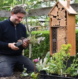 Meer bestuivers in de moestuin, maar zonder rommel: zo doe je dat
