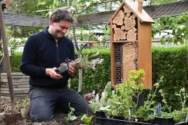 Meer bestuivers in de moestuin, maar zonder rommel: zo doe je dat