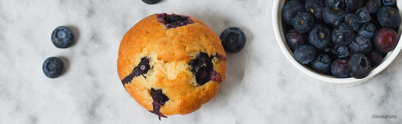 Blauwe bes kweken in een pot