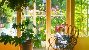 Zo blijven je balkonplanten bloeien in augustus: 3 tips