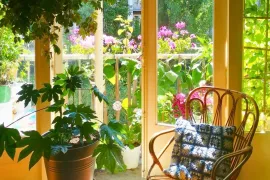 Zo blijven je balkonplanten bloeien in augustus: 3 tips
