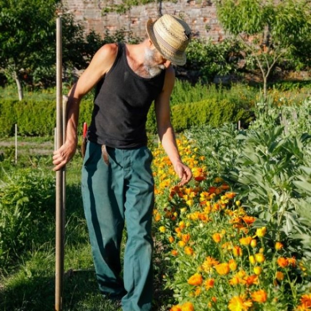 Juni op kasteel Hex: tuinbaas Gust gunt de bladluizen hun maaltje