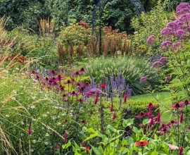 Honderden zinnia’s in één border: John zaait ze allemaal zelf