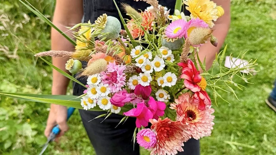 Afbeelding Bloemen zaaien: deze eenjarigen zaai je al vroeg