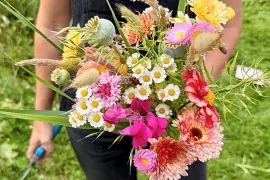 Bloemen zaaien: deze eenjarigen zaai je al vroeg