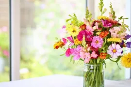 Bloemen die twee weken meegaan: zo blijft je boeket langer mooi