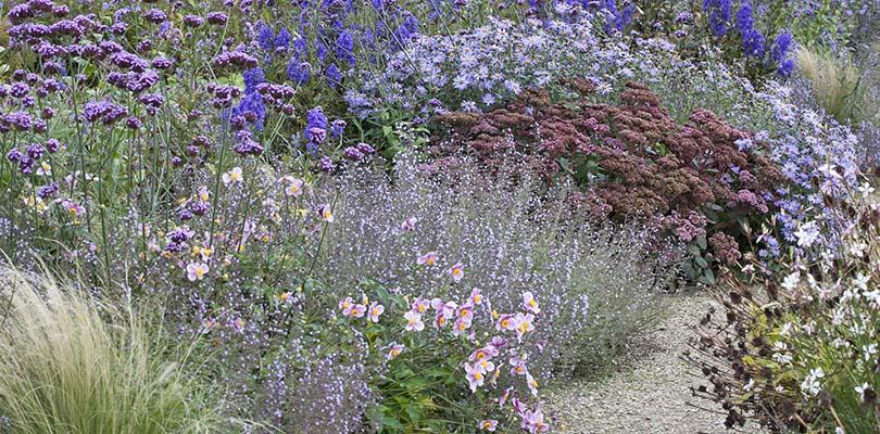 Planten voor een levende tuin