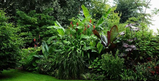 Beplantingsplan: een jungletuin vol bananenplanten en bladplanten