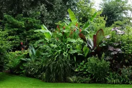 Beplantingsplan: een jungletuin vol bananenplanten en bladplanten