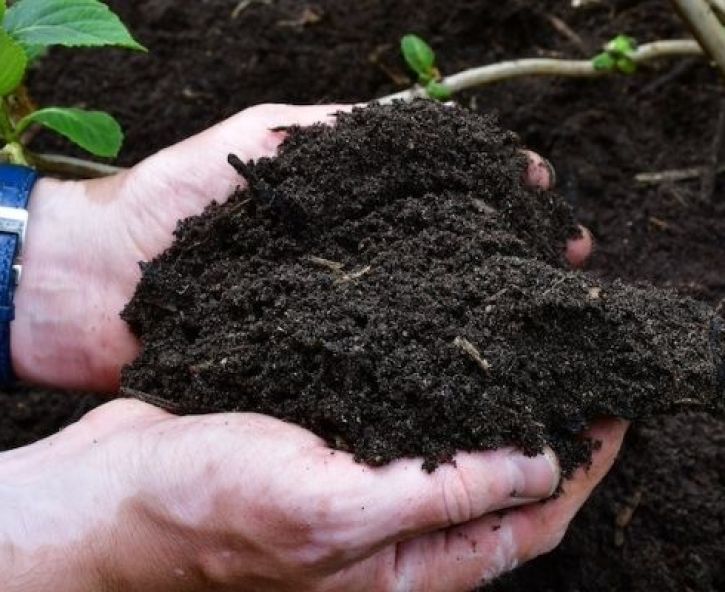 Composteren in de winter: het begin van een gezond tuinjaar
