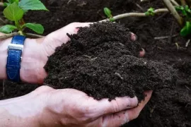 Composteren in de winter: het begin van een gezond tuinjaar