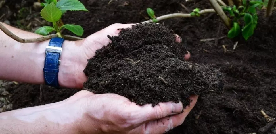 Afbeelding Composteren in de winter: het begin van een gezond tuinjaar