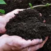 Composteren in de winter: het begin van een gezond tuinjaar