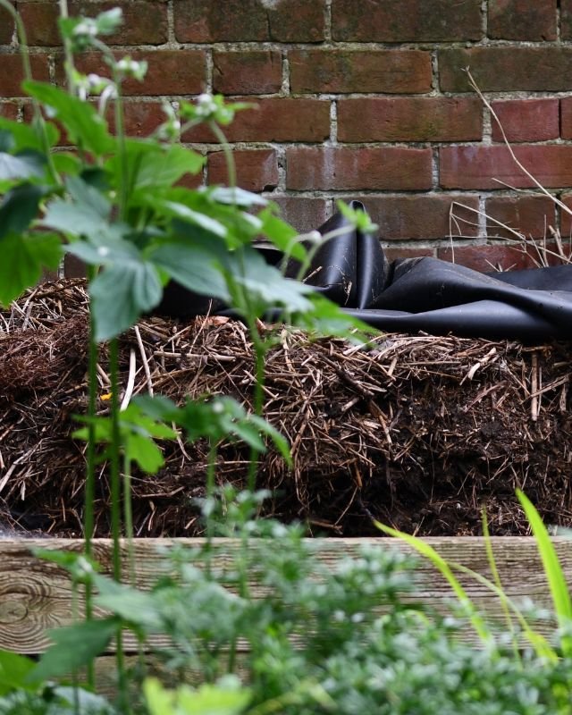 Composteren in de winter: het begin van een gezond tuinjaar