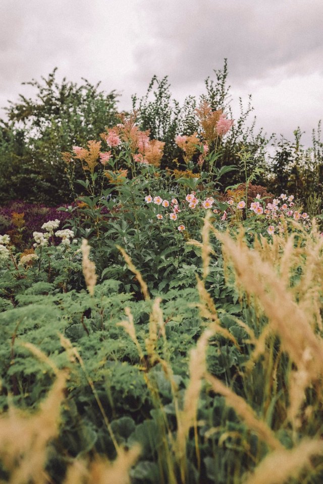 Variatie in beplanting