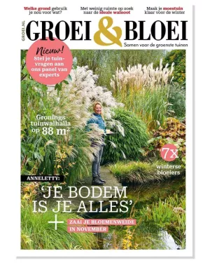 Magazine
