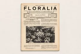 Het levensverhaal van Groei & Bloei
