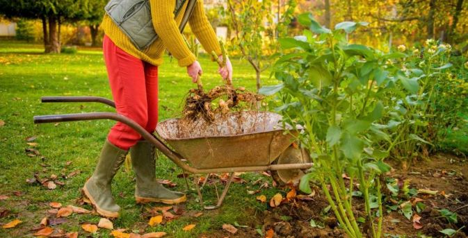 Tuinklussen in november: 14 klussen die niet kunnen wachten