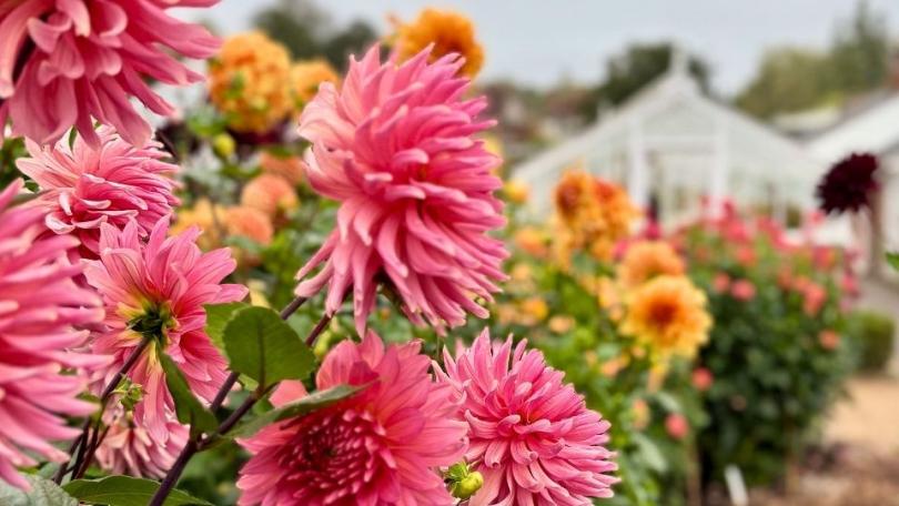 Groentje gaat op tuinenreis: ik snapte de lol niet, tot nu