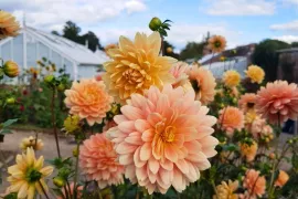 Ga mee op tuinenreis: vier inspirerende bestemmingen in 2027