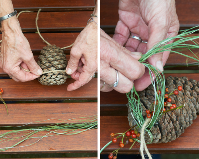 Alternatieve kerstboom 2: samen voor een natuurlijke boom