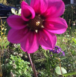 Zomer in de herfst?