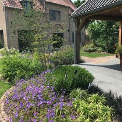 Op bezoek bij de tuinen in Overbetuwe Lingewaard
