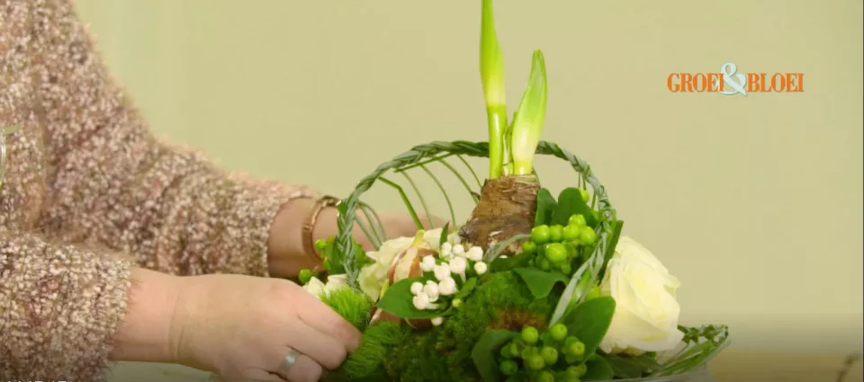 Afbeelding Schaal met vlechtwerk en amaryllis (video)