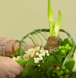 Schaal met vlechtwerk en amaryllis (video)