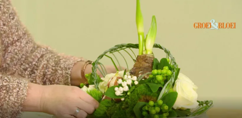 Schaal met vlechtwerk en amaryllis (video)