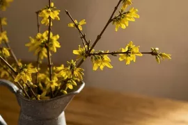 Takken in bloei trekken: haal de lente alvast in huis