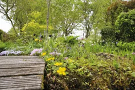 Liefhebberstuin met voorjaarsbloemen
