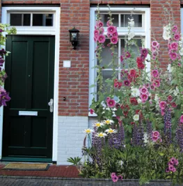 Handige planten voor een geveltuin